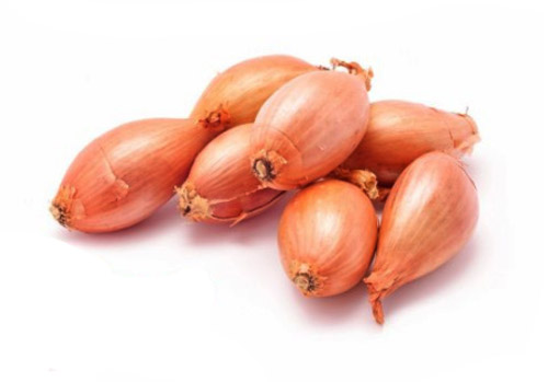 Cebolla Echalotte